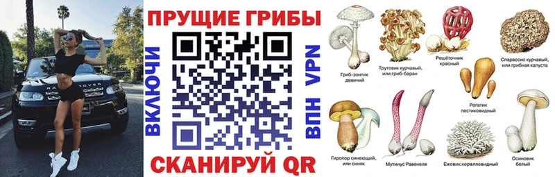 Галлюциногенные грибы прущие грибы  mega онион  Суровикино 