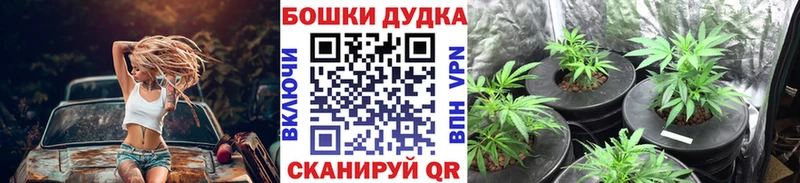 наркотики  Суровикино  Бошки марихуана LSD WEED 